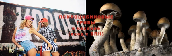 гашиш Новокубанск