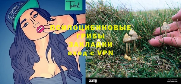 МДПВ Новозыбков