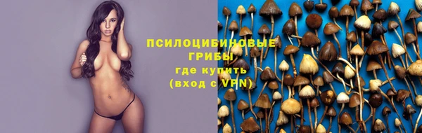 прущие крисы Новодвинск