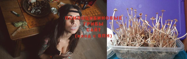 гашиш Новокубанск
