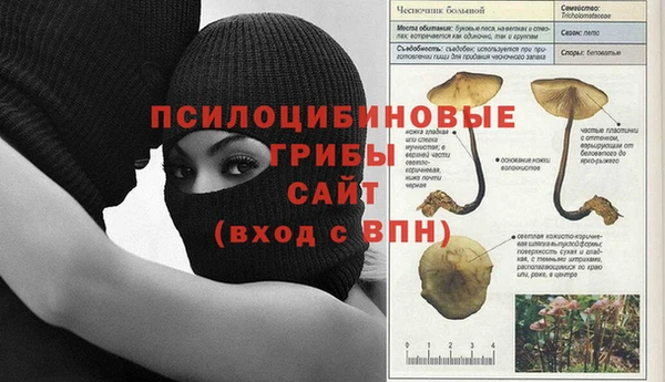 прущие крисы Новодвинск