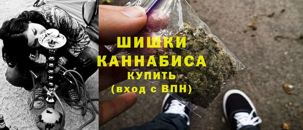 МДПВ Новозыбков