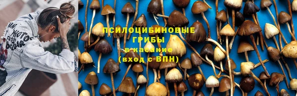 прущие крисы Новодвинск