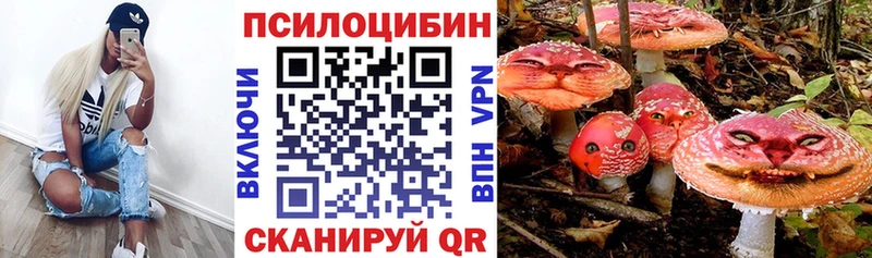 Псилоцибиновые грибы Magic Shrooms  где купить наркоту  mega ссылка  Хвалынск 